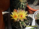 SAM_6563