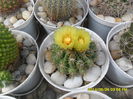 SAM_6570
