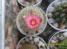 SAM_6589