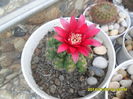 SAM_6651