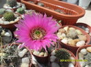 SAM_6670