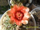 SAM_6675