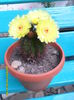 SAM_6744