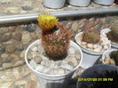 SAM_6767