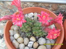 SAM_6834