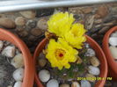 SAM_6835