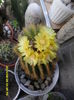 SAM_7197