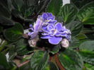 SAM_3010