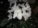 SAM_3326