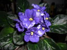 SAM_3329