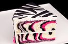 Tortul zebra