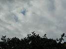 DSCN4078