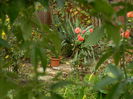 DSCN4089