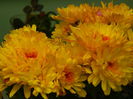 DSCN4090