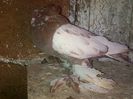 IMG-20141116-01217
