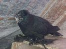 IMG-20141116-01192