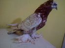 IMG-20141016-01014