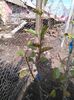 IMG_20141102_121848