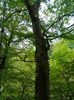 DSCN0479