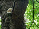 DSCN0480