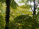 DSCN0487