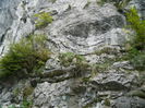 DSCN0490
