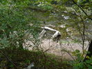 DSCN0494