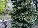DSCN0503