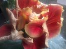 20141123_090410