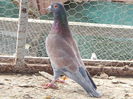 DSCN7813