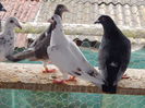 DSCN7824