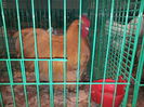 20141122_141745