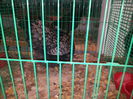 20141122_142034