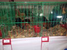 20141122_142412