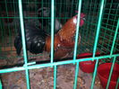 20141122_142443
