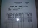 fisa de expo..