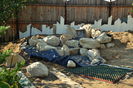 Waterfeature - West border_0486