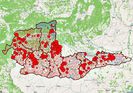 turismului electoral-16.11.2014