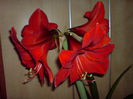 DSC00944