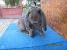 IMG_0355 - Copy