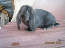 IMG_0388 - Copy