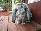 IMG_0510 - Copy