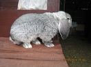 IMG_0526 - Copy