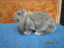 IMG_0618 - Copy