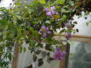 DSCN4151