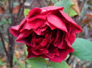 DSCN4152