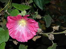 DSCN4224