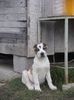 DSCF2420