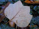 DSC01827