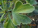 DSC01901